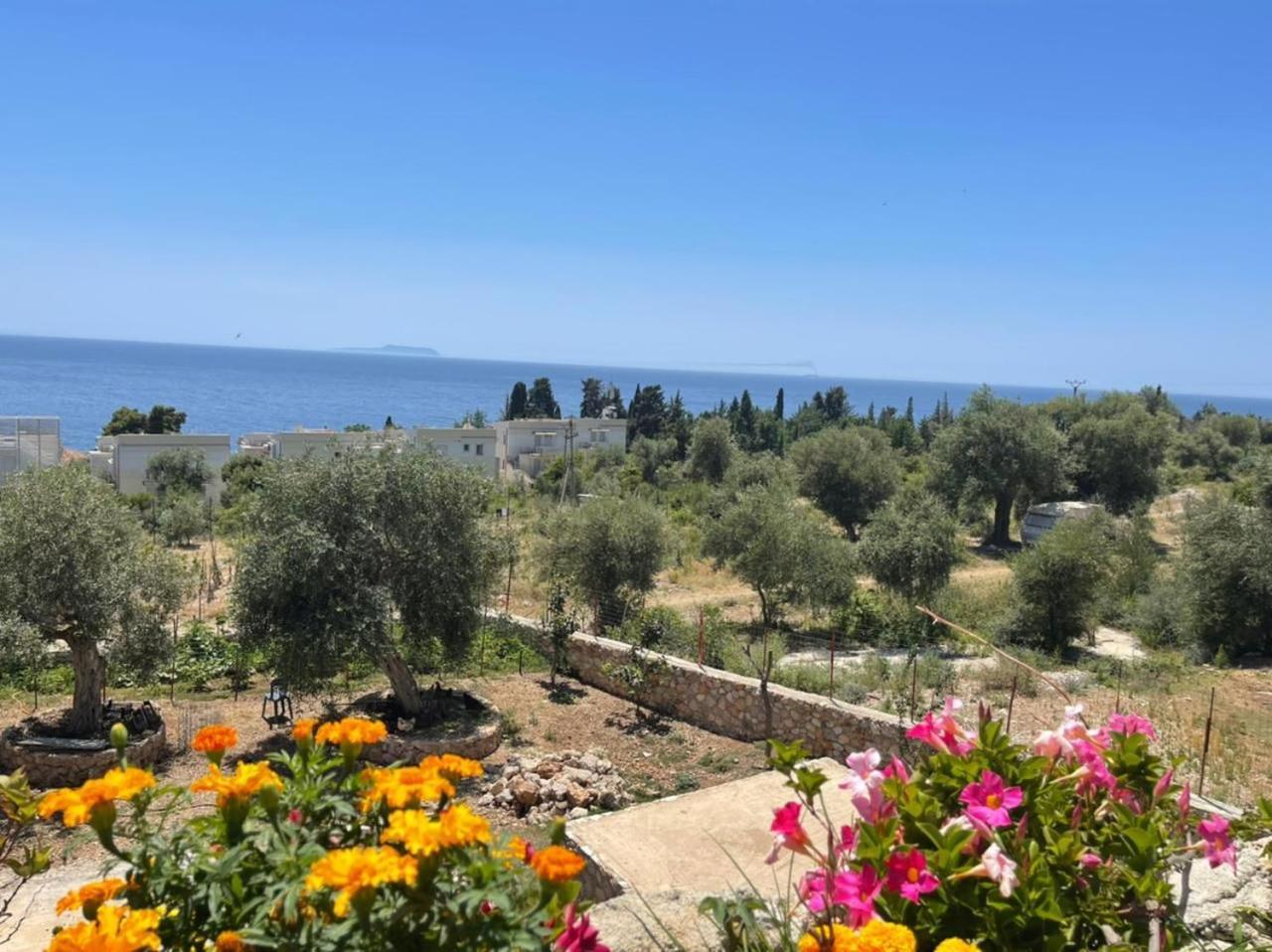 Exclusive Greccia Inn Dhërmi Exteriér fotografie